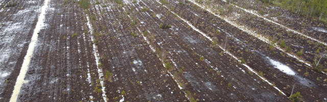 Turvalepa keskkonnaluba lükkus taas edasi