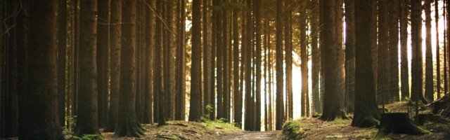 Kas maskid kaitsevad viiruste eest?