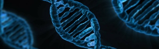 Arenguseire: geeniandmed on olemas iga viienda täisealise Eesti elaniku kohta