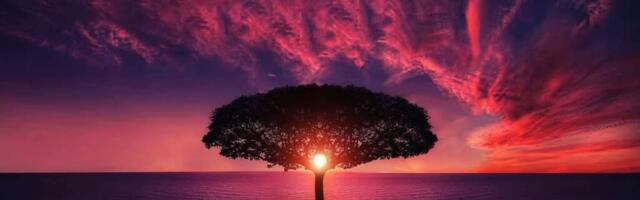 Aitäh neile, kes mind vihkavad…