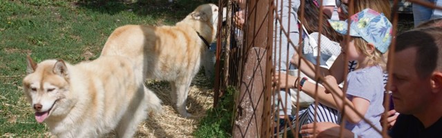 Avatud talud lõid tänavu külastajarekordi