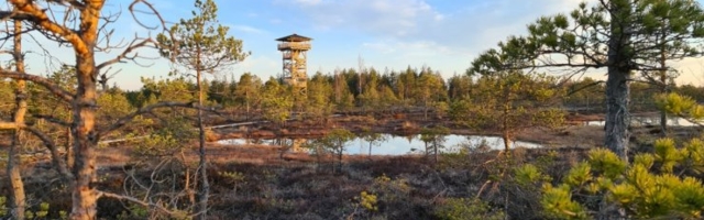 Abiks nutipildistajale: neli äppi, mille abil oma mobiilifotod rahaks teha