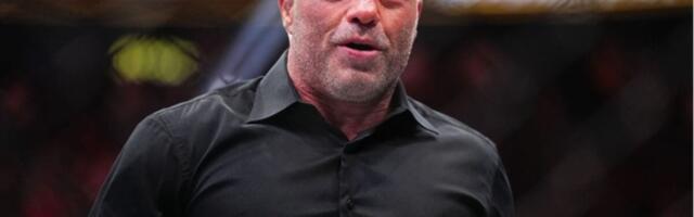 Climate Experts Roast Joe Rogan After He Misinterprets Simple Graph to Claim Earth Is Cooling