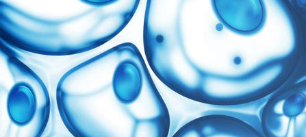 Glutatioon – sinu keha kõige olulisem antioksüdant