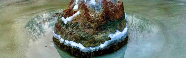 Kaarel Zilmer NÄDALA FOTO