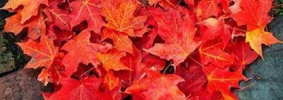 Kui sulle praeguses elus tõesti miski ei meeldi või sa pole rahul, siis peatu hetkeks.