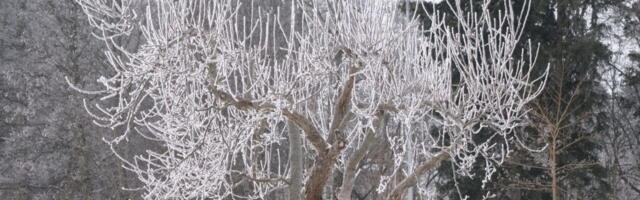 AHTO ILMAJUTUD | Hiiumaale jõuab arktiline külm