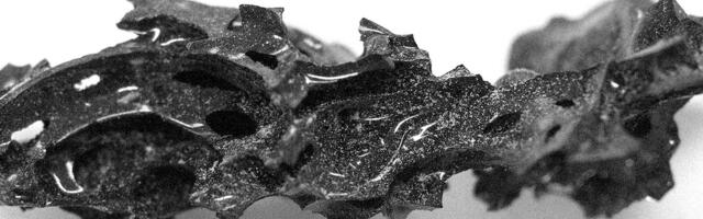 Ainuke juhtum maailmas_ teadlased uurivad kas inimese aju võib tõepoolest muutuda klaasiks