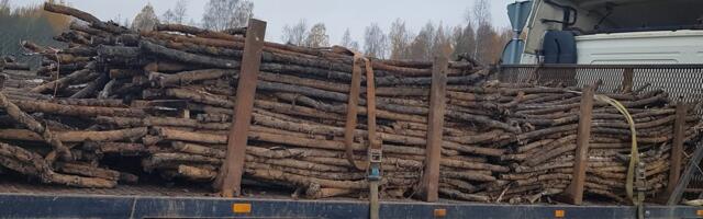 FOTOD | Telia on maa alt välja sikutanud 150 kilomeetrit vanu vaskkaableid