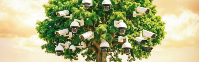 Настраиваем тысячи камер в пару кликов