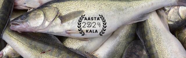 ANDRES JAANUS: parimast praekalast sai aasta kala