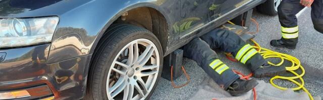 Kass tegi taksos pika sõidu: Võhmast Kuressaarde reisinud loom sai mootorist välja päästjate abiga