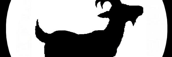 🐐 KITS TULIHOBUSE AASTAS 2026 – ENESEVÄÄRTUSE, LOOMINGU JA SISEMISE JULGUSE AEG