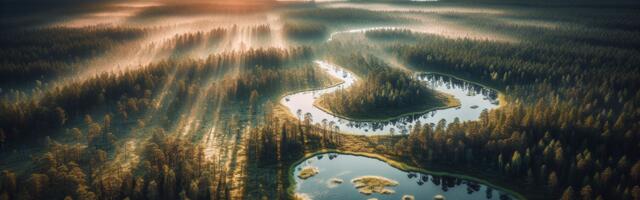 Aegviidu – põhjamaine männimetsade oaas