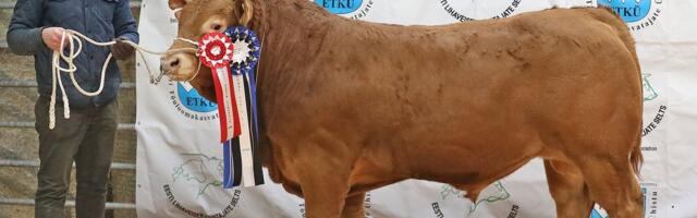 Parim tõupull 2025 selgus tasavägises võistluses