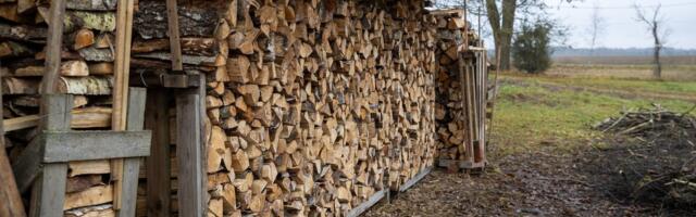PUIDUTURG | Palk läheb taas kallimaks, küttepuidu hind on tõusuteel
