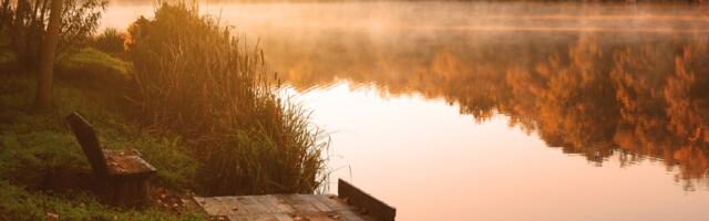 Päevahoroskoop: mida toob esmaspäev, 3. november sinu tähemärgile – rõõmu või väljakutseid?