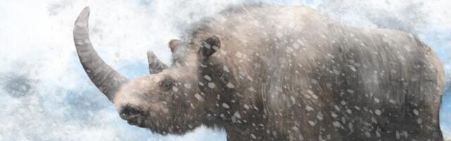 Karvase ninasarviku genoom saadi kätte hundi kõhust