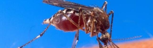 Kevad peaks tulema keskmisest sääsevaesem