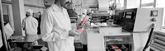 SUUR VIKTORIIN | Kui palju tead sina makrast