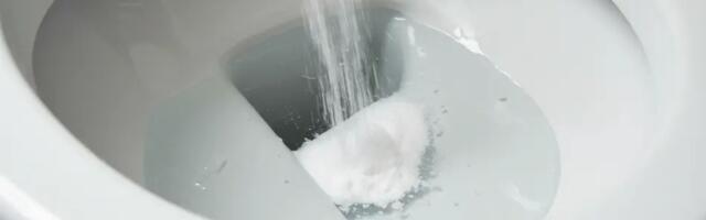 Puhtaks ja desinfitseeritud WC terveks nädalaks – see kindel meetod tõesti toimib