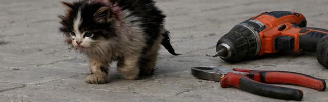 Как найти UB, которое никто не хочет замечать: разбираем clang-tidy изнутри