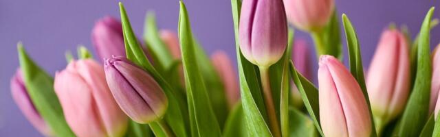 Eestlased söövad sõbrapäeval enim burgereid ja kingivad tulpe