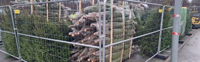 KOMMENTAARIDETA: jõulukuuskede müük kaubanduskeskuse parklas 30. novembril 2024