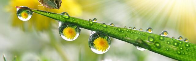 Matsalu Loodusfilmide Festivalile esitati üle 1100 filmi