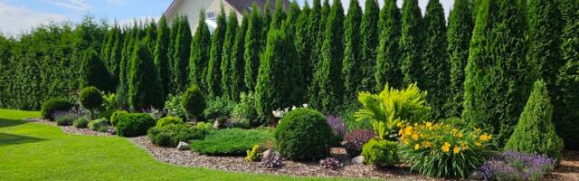 Linas Agro avas Eestis hobiaednikele mõeldud e-poe