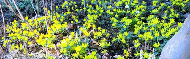 Ruslan Dontsov NÄDALA FOTO