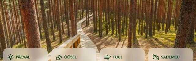 ILMATEADE | Teisipäev on tuuline, kuid kevadiselt soe