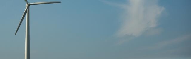 Paidelased vaidlustasid linna üldplaneeringu, tõmmates tuuleparkide arendamisele pidurit