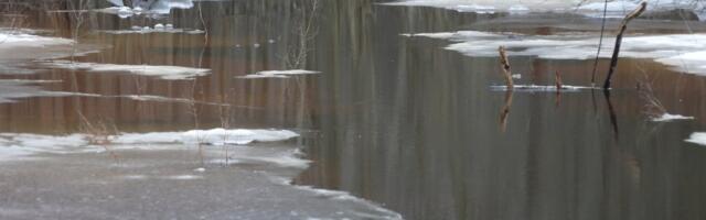 Eksperdid hoiatavad: saabuv suur sula võib kaasa tuua ootamatuid üleujutusi ja veekahjusid
