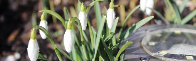 ILM: 21.03 – Päikesepaisteline ja sajuta ilm, sooja kuni +12°C