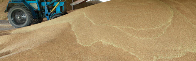 Väetiste rekordkiire hinnatõus võib kaasa tuua ülemaailmse näljahäda