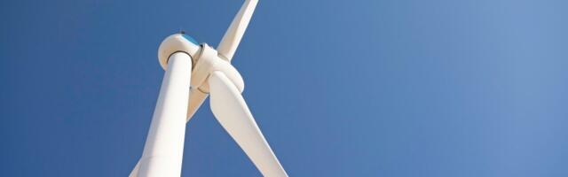 Tuuleturbiinidele puidust labad