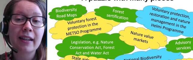 Soome metsaomanike jurist: oleme väga huvitatud elurikkuse hoidmisest, aga omadel tingimustel