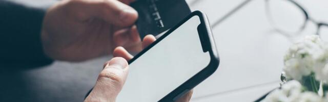 Hoiatus suurte ostupühade eel: liba-veebipoode on tänapäeval lihtne luua