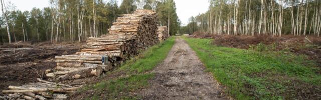 Kiirkorras muudetavad looduskaitse- ja metsaseadused ohustavad tõsiselt Eesti loodust