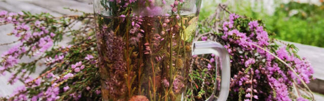 Vähemärgatud nõmmelill