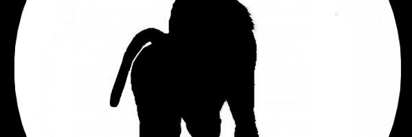 🐒 AHV TULIHOBUSE AASTAS 2026 – KIIRUSE, TAIBUKUSE JA TEADLIKU FOOKUSE AEG