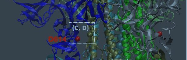 Euroopas leviva koroonaviiruse tüvi on kindlaks tehtud ja see on palju nakkavam kui originaal