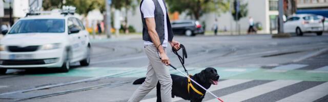 13 aastat pimedat teeselnud mees sai riigilt 170 000 eurot