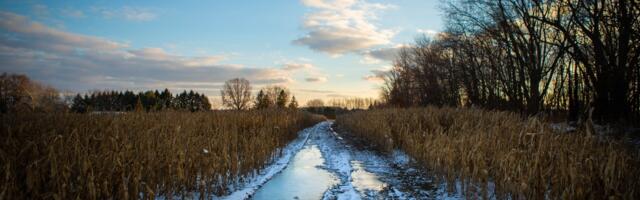 Liikluspiirangu kehtestamine Peipsiääre valla avalikult kasutatavatel kohalikel- ja erateedel