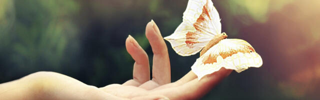 Inimkonna määratlemine ja isiku kaitsmine