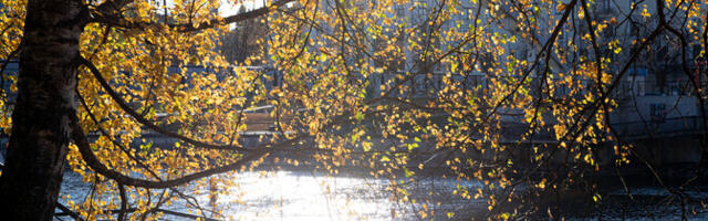 Ilm on ka algaval nädalal mõõdukalt soe