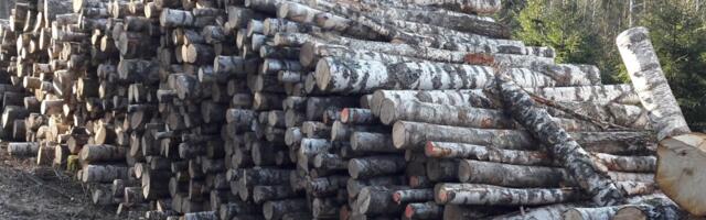 Paberipuidu hind kasvab üle maailma