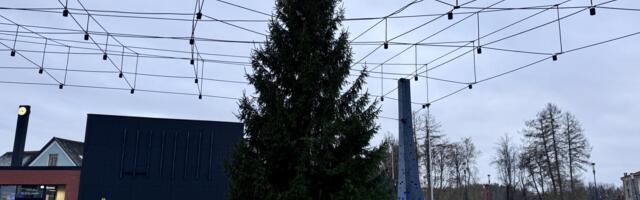 Jõulukuusk on jõudnud Tõrva keskväljakule!