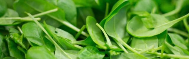 Spinatist tuvastati taimekaitsevahendi jäägi ületus